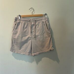 American Eagle Outfitters Light Tan drawstring flat front Shorts